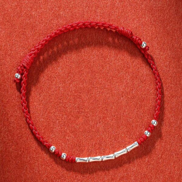 Tibet Handmade Multicolored Bamboo Protection Braided String Bracelet - 图片 12