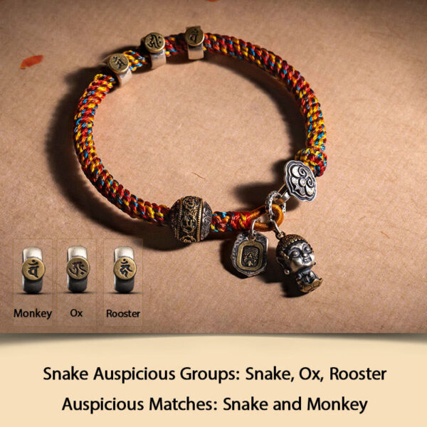 Handmade Tibetan 925 Sterling Silver Chinese Zodiac Natal Buddha Zakiram Goddess of Wealth Protection Multicolored Rope Braided Bracelet - 图片 12