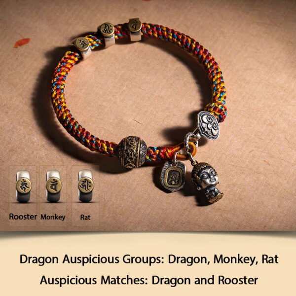 Handmade Tibetan 925 Sterling Silver Chinese Zodiac Natal Buddha Zakiram Goddess of Wealth Protection Multicolored Rope Braided Bracelet - 图片 11