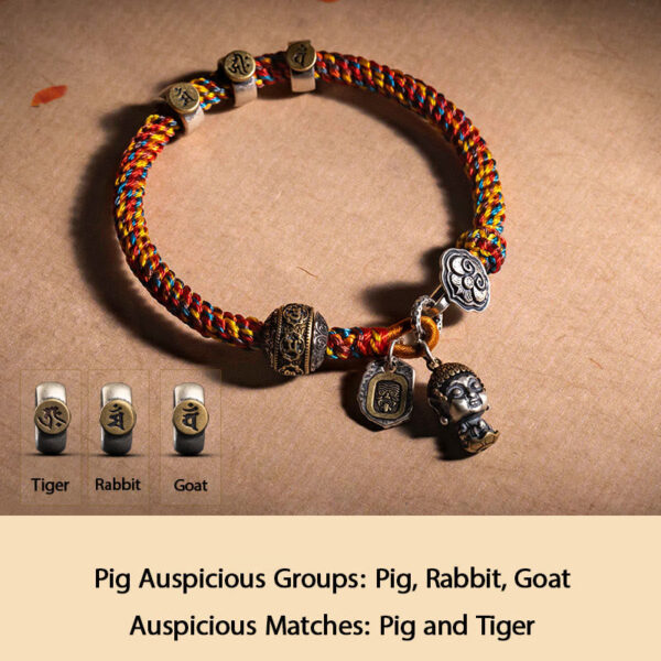 Handmade Tibetan 925 Sterling Silver Chinese Zodiac Natal Buddha Zakiram Goddess of Wealth Protection Multicolored Rope Braided Bracelet - 图片 18