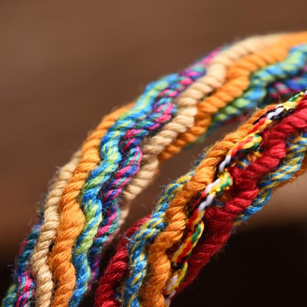 Gold Swallowing Beast Family Luck Reincarnation Knot Braid Colorful String Bracelet - 图片 5