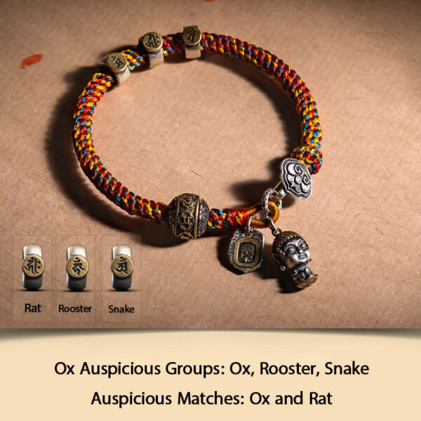 Handmade Tibetan 925 Sterling Silver Chinese Zodiac Natal Buddha Zakiram Goddess of Wealth Protection Multicolored Rope Braided Bracelet - 图片 8