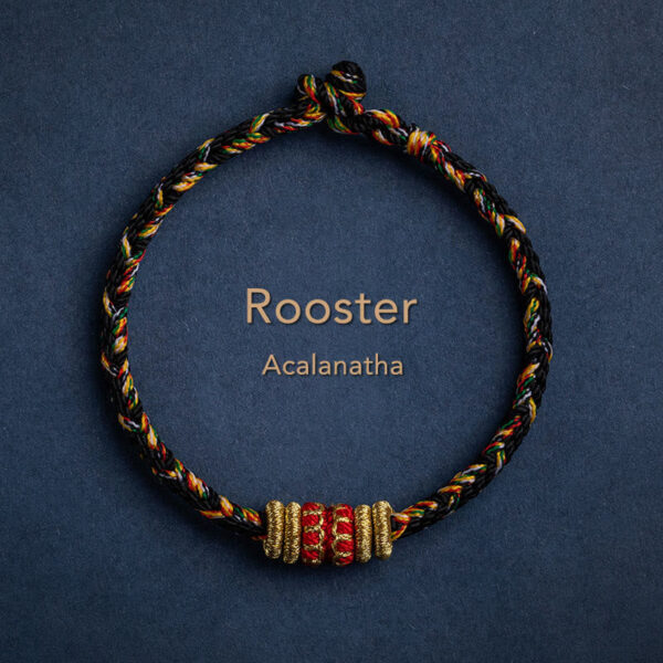 Buddha Stones Tibet Handmade Chinese Zodiac Natal Buddha Luck Strength Braided String Bracelet - 图片 26