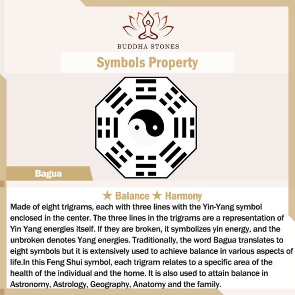 Buddha Stones Tibet 108 Mala Beads Bodhi Seed Bagua Vajra Dzi Bead Gray Agate Wealth Bracelet - 图片 23
