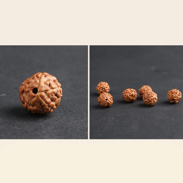 Tibet Rudraksha Bodhi Seed PiXiu Copper Coin Wealth Luck Bracelet - 图片 13