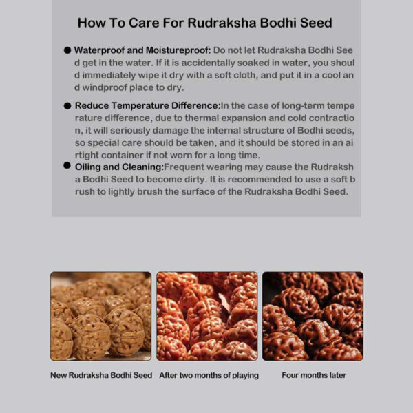 Tibetan Rudraksha Bodhi Seed Agate Wealth Bracelet - 图片 6
