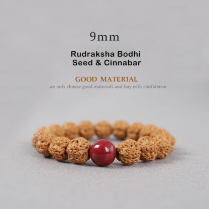 Buddha Stones Tibet Rudraksha Bodhi Seed Dzi Bead Amber Turquoise Wealth Bracelet - 图片 11