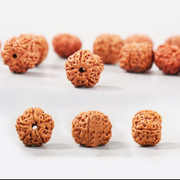 Tibet Rudraksha Bodhi Seed Wealth Auspiciousness Bracelet - 图片 5
