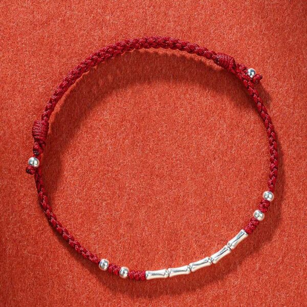 Tibet Handmade Multicolored Bamboo Protection Braided String Bracelet - 图片 13