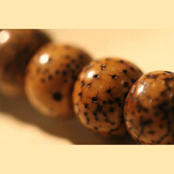 Tibetan Bodhi Seed Amber Dzi Bead Agate Zakiram Goddess of Wealth Beads Triple Wrap Bracelet - 图片 12