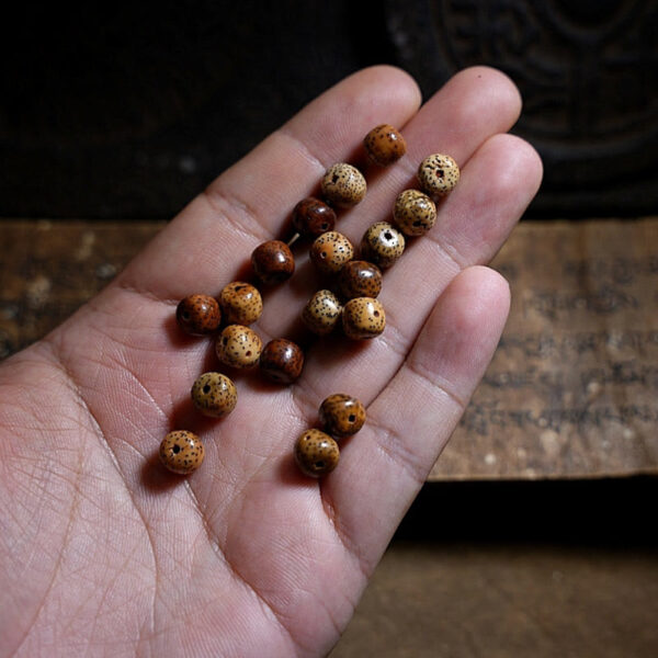 Tibetan Bodhi Seed Amber Dzi Bead Agate Zakiram Goddess of Wealth Beads Triple Wrap Bracelet - 图片 15